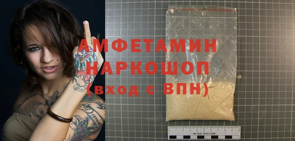 гашик Новозыбков