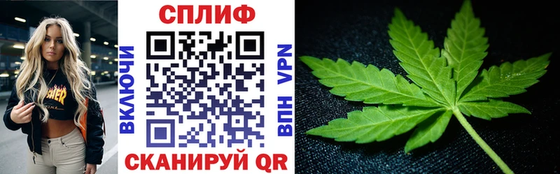 Бошки Шишки Amnesia Суровикино