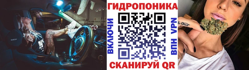 блэк спрут зеркало  Суровикино  Конопля план 